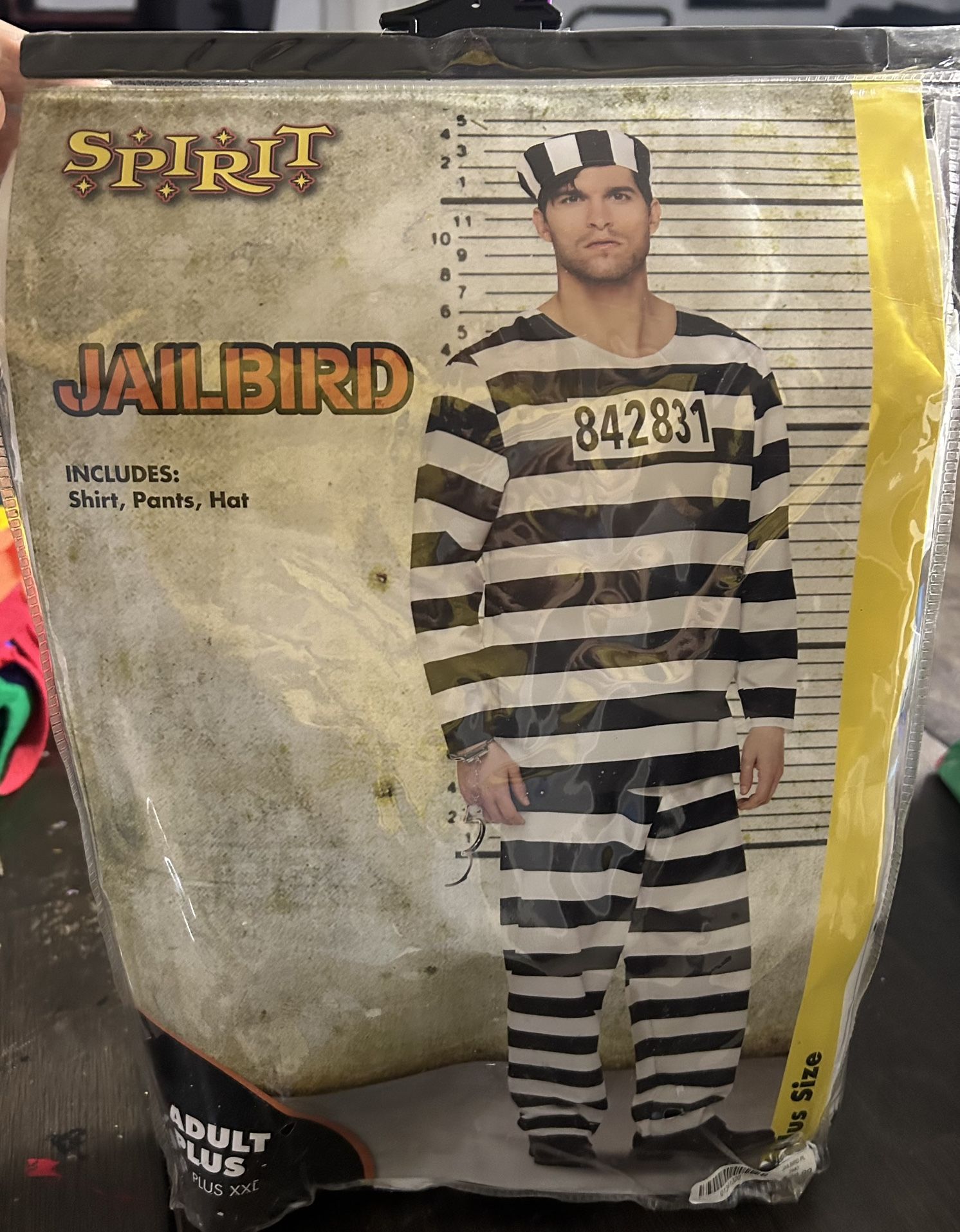 Men’s Jailbird/Inmate Costume