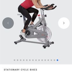 Sunny Exercise Bike