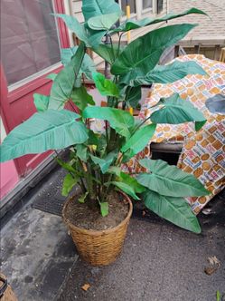 LARGE Indoor / Outdoor Weighted Basket Faux/ Fake Plant