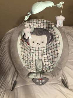 Sweet Snugapuppy Bouncer