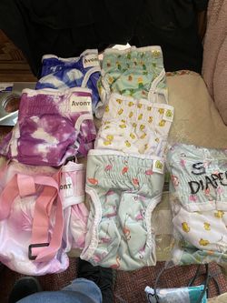 New Washable Small Dog Diapers Girl