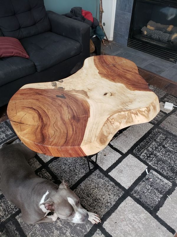 Rare Perota Wood Slab Coffee Table For Sale In Laguna Beach Ca Offerup