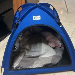 Dog Tent + Raised Dog Bed