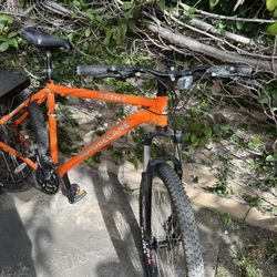 Mountain Bike