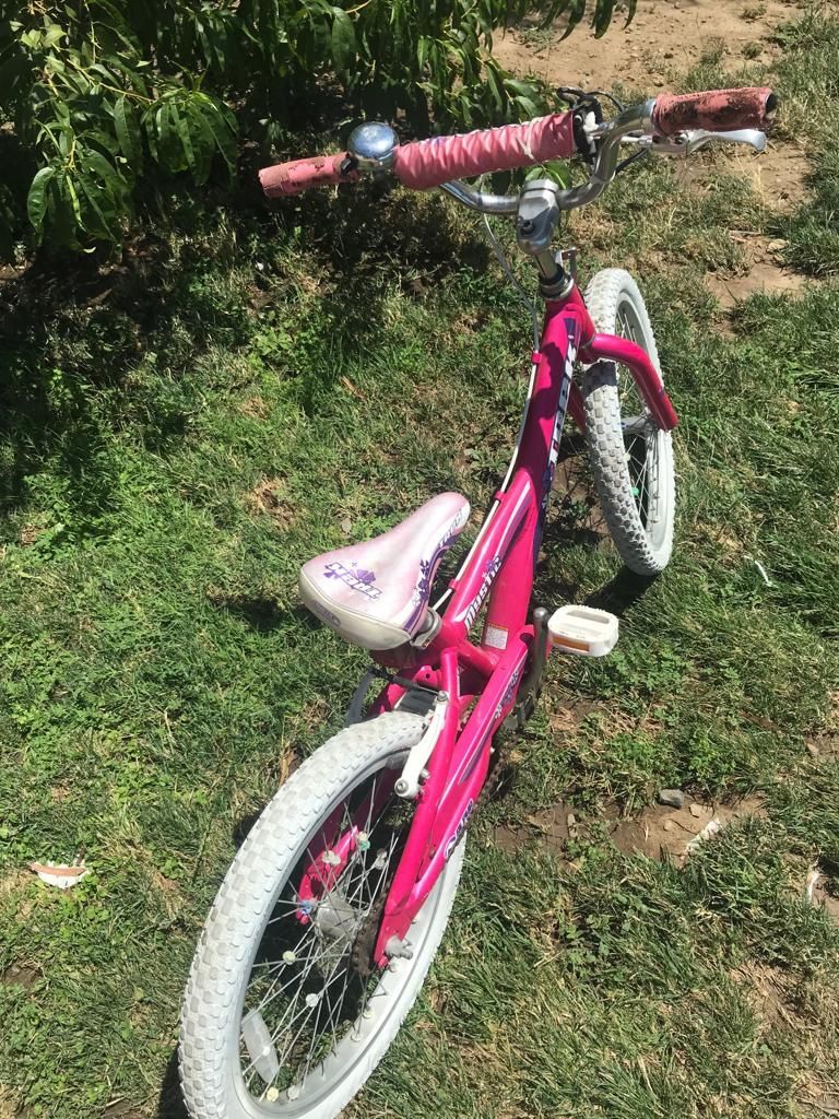 Girls bike size 20