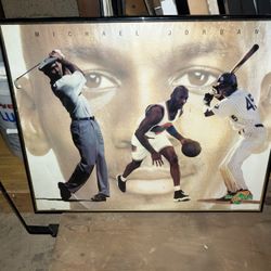 Space Jam Michael Jordan Poster