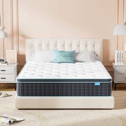 10" Size Medium Firm Memory Foam Mattress in a Box