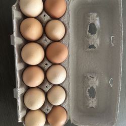 Eggs 