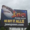 Jaws of southington