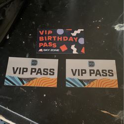 Defy/Skyzone VIP Pass