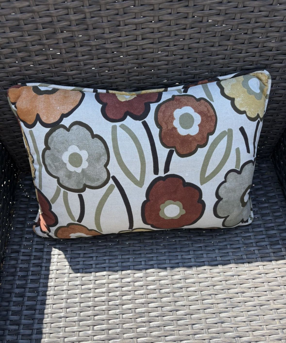 2 CUTE OUTDOOR PILLOWS!