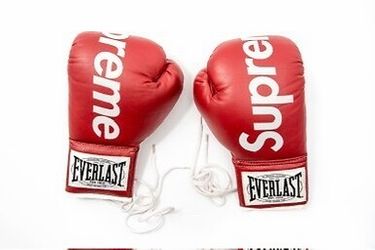 Supreme Boxing gloves