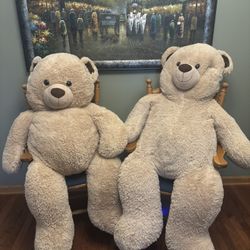 Extra Large Teddy Bears
