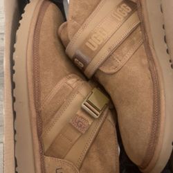 Men’s Size 12 Tan Uggs - brand New In Box never Worn