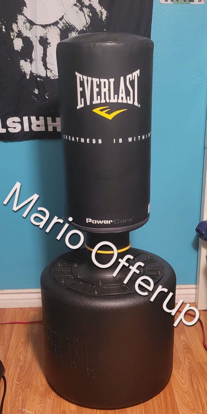 Everlast Workout Punching Bag