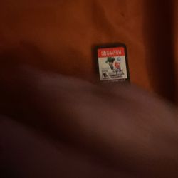 Mario Bros Wonders And Donkey Kong 