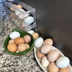 Fresh Eggs