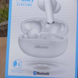 2Boom 12 Hr Play Blu Tooth Headphones