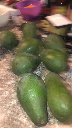 Aguacates Varatos