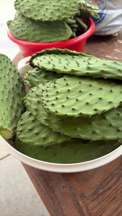 Nopales Organicos. $3