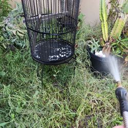 Bird Cage