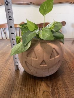 Halloween Pumpkin