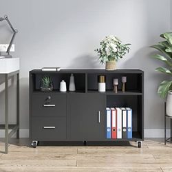 2 Drawer Mobile Lateral Filing Cabinet,                BLACK       