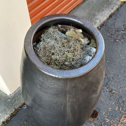 Like New Designer Ceramic Flower Pots.  Discounted For Pickup. 