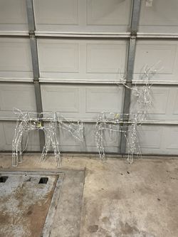 Buck And Doe