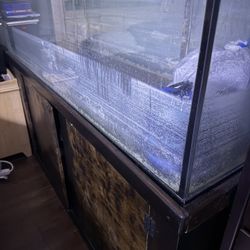Fish tank 