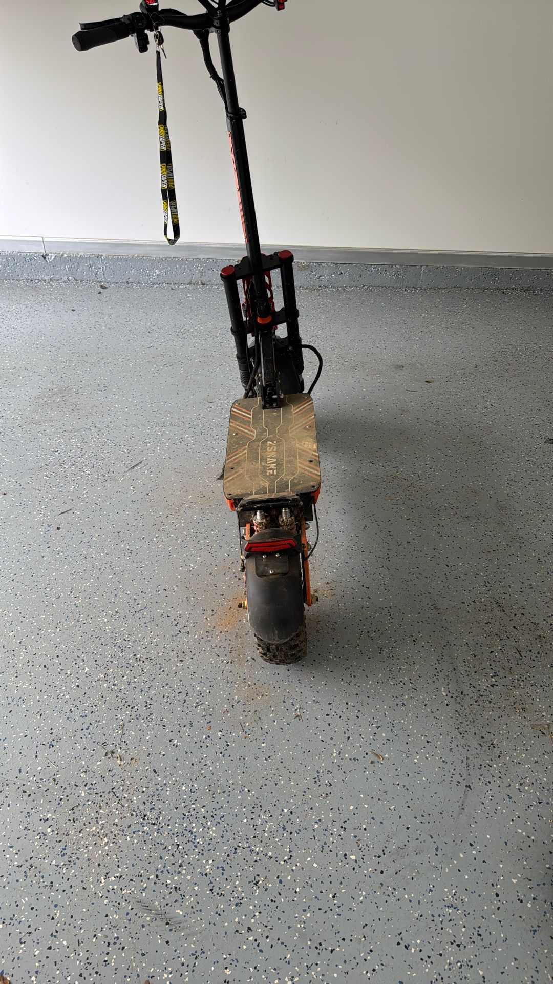 Zsnake Electric Scooter