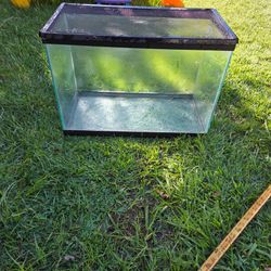 20 Gallon reptile terrarium with lid!