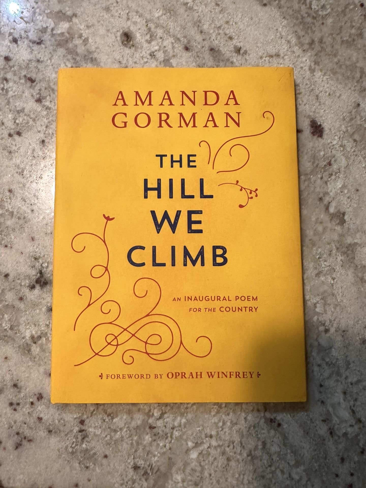 The Hill We Climb Book