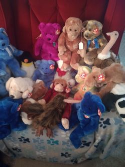 25 Large TY Beanie Baby New