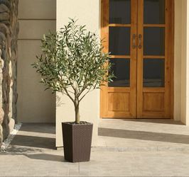 Pretty artificial plant olive tree 5 ft tall with tall planter! Brand New