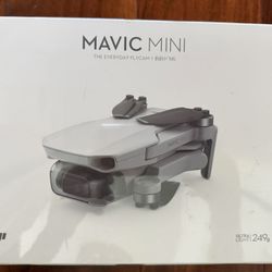 DJI Mavic Mini “The Everyday FlyCam” Standard (Ultra Light):