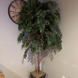 Faux Indoor Tree 