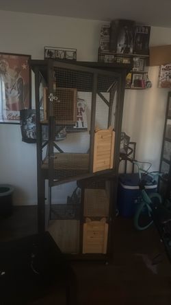 Catio