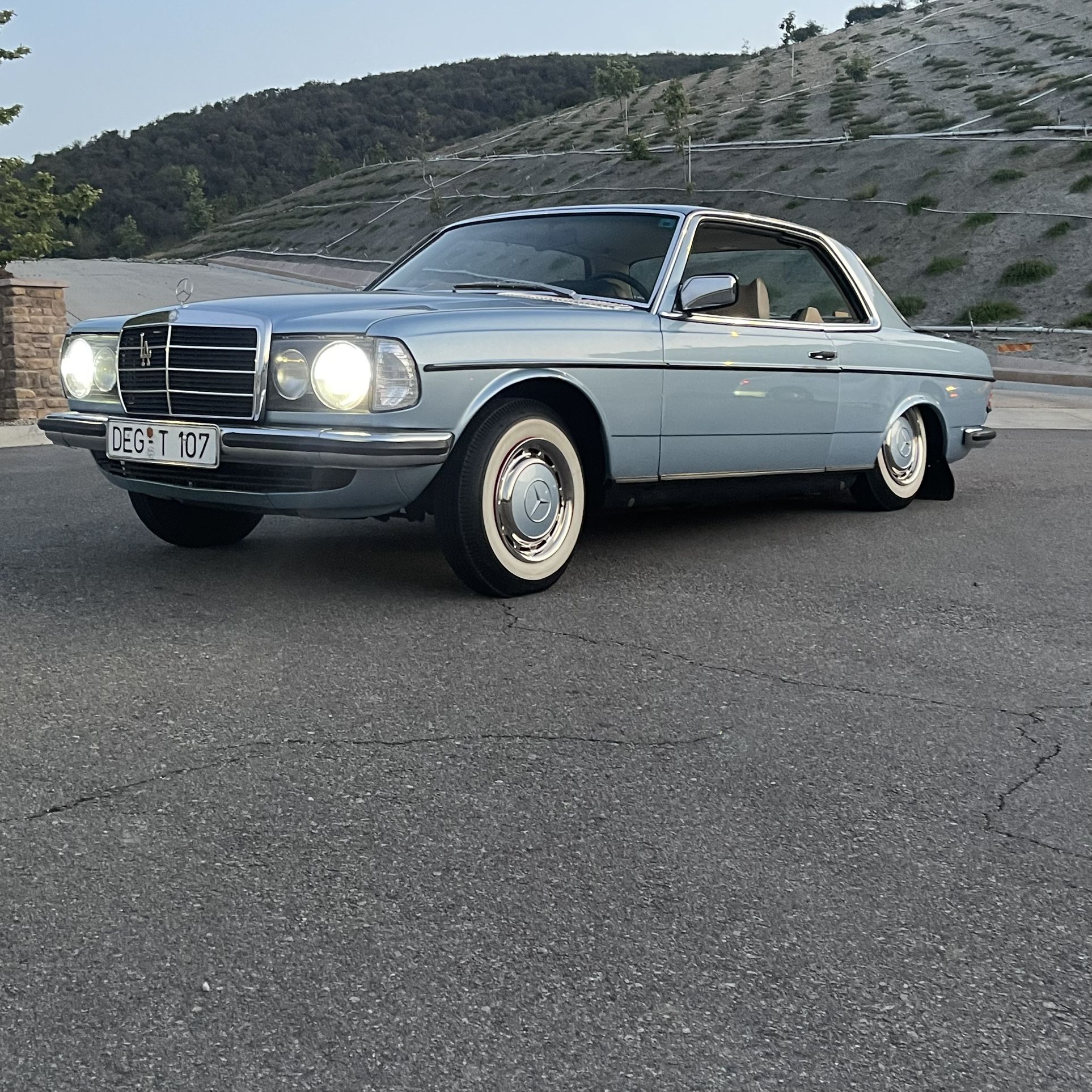 1977 Mercedes-Benz W 123 Coupe