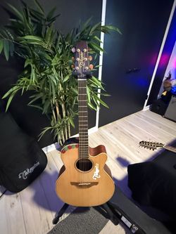 Takamine EAN40c 🎸