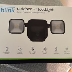 Blink Outdoor Camera + Floodlight