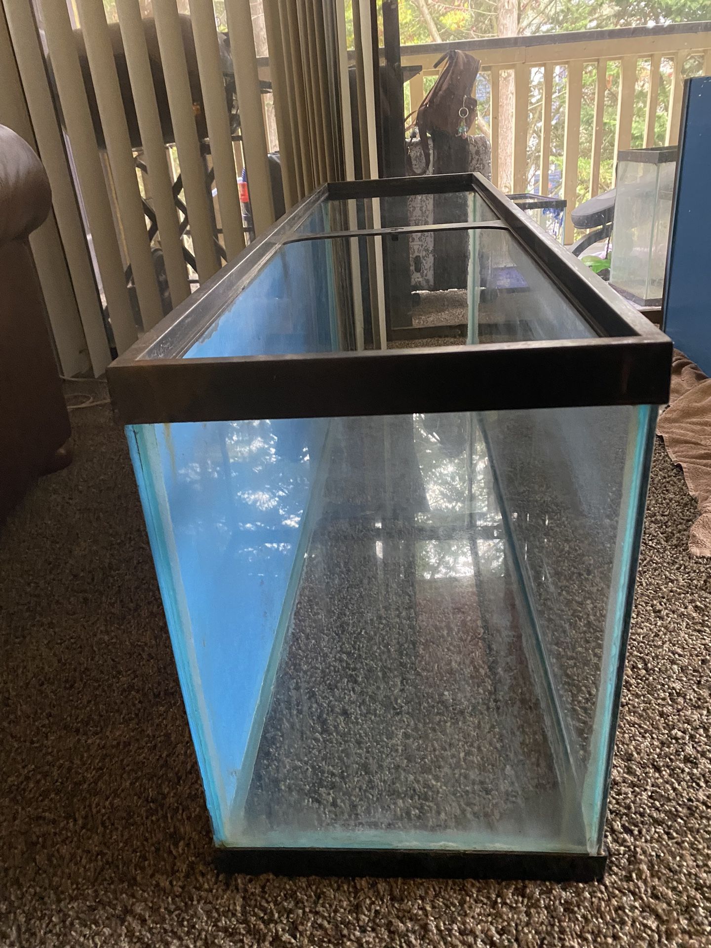 55 & 20 Gal Aquarium Tanks