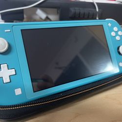 Nintendo switch light with carrying case