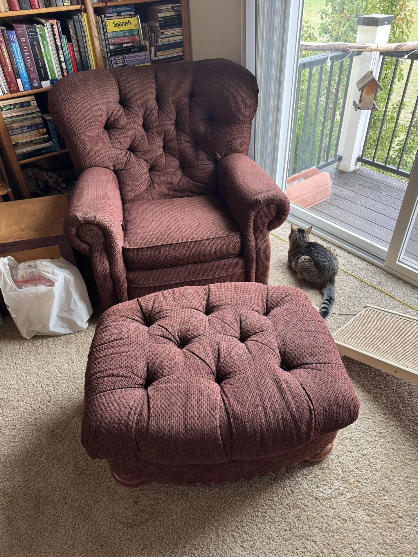 Comfortable Recliner And Ottoman