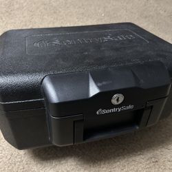 Sentry Safe Fireproof Safe box 