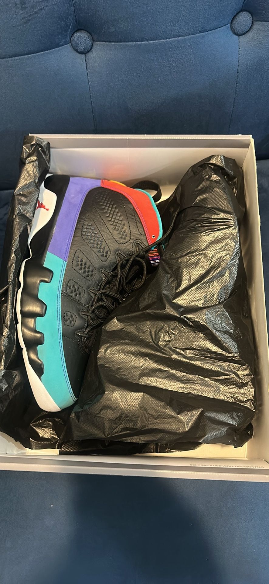 Air Jordan 9 Retro “Dream It Do It” Size 11