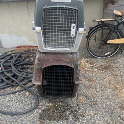 Dog Kennels