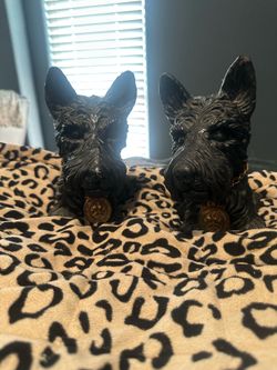 Decorative black pups