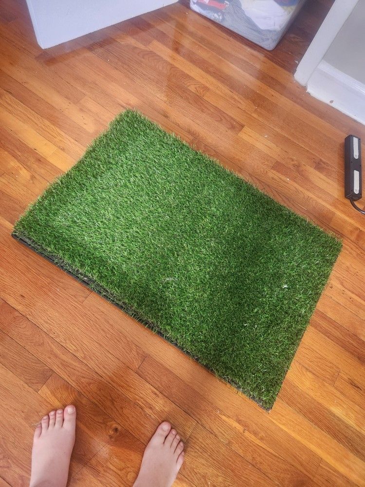 Doggy Grass Patch
