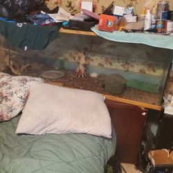 6 Foot X 2 Ft Reptile Tank And Lights Screens